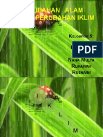 Iad PDF