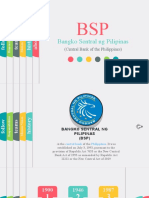 BSP Responsibilities.pptx