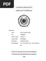 Download BUNGA PRATIKUM FISTUM by Mofa Erlambang SN46910281 doc pdf