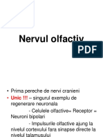 Neuro.pdf