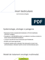 Curs 9. Tumori Testiculare