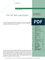 The UK Bee Population: Debate Pack