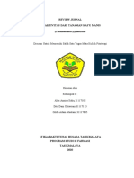 Kelompok 6 (Kayu Manis (Cinnamomum Zeylanicum) Fitoterapi PDF