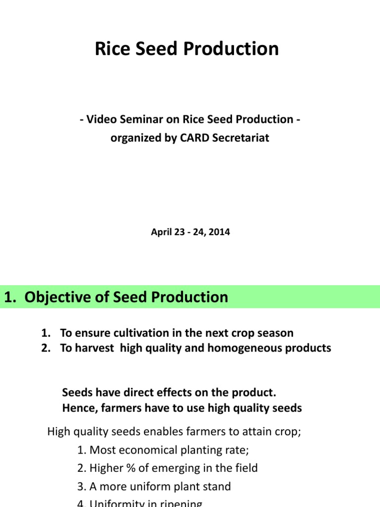 Rice Seed Production and Quality Standards | PDF | Plant Breeding | Rice