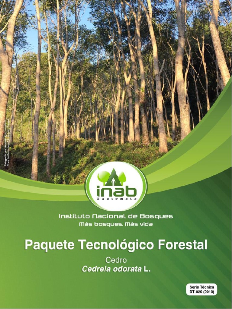 PTF Cedro | PDF | Los bosques | Arboles, image size:768x1024