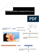 Malformaciones Craneofaciales PDF