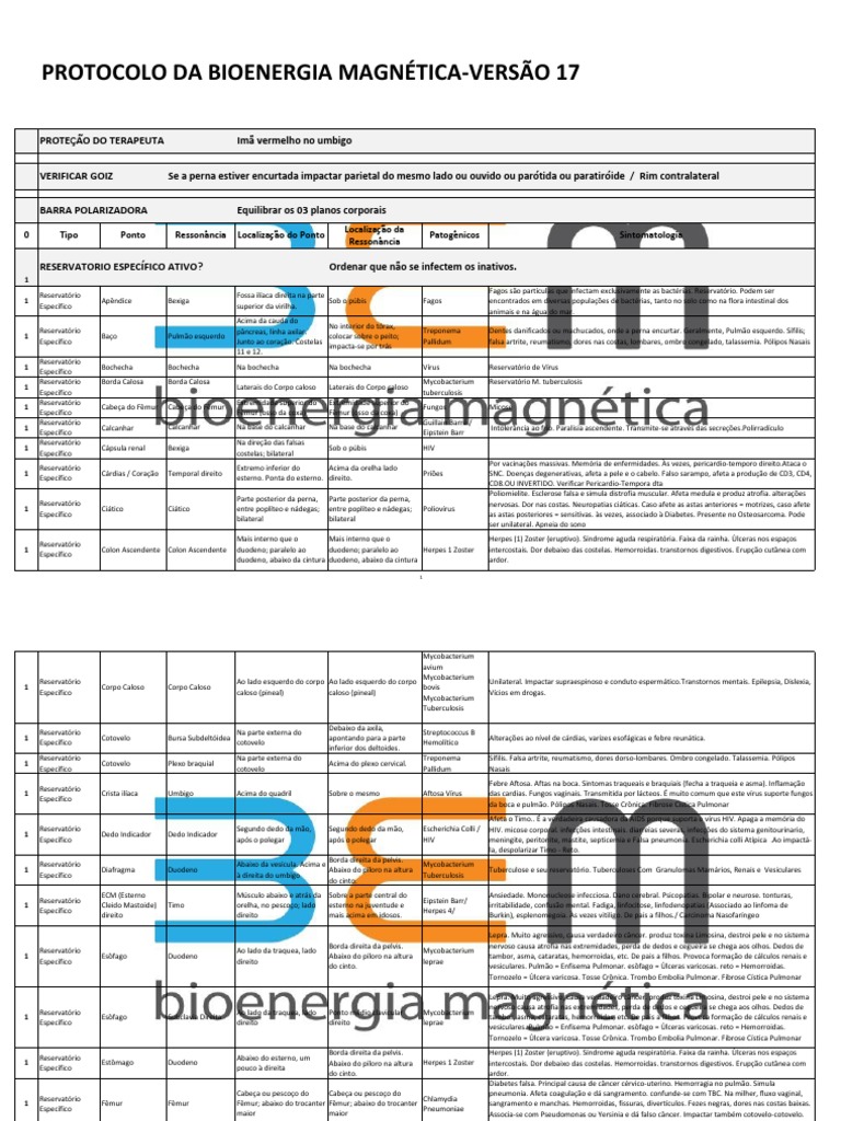 Mag PROTOCOLO Barra PDF | PDF | Coluna vertebral | Anatomia
