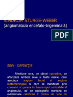 SD Sturge Weber - Site
