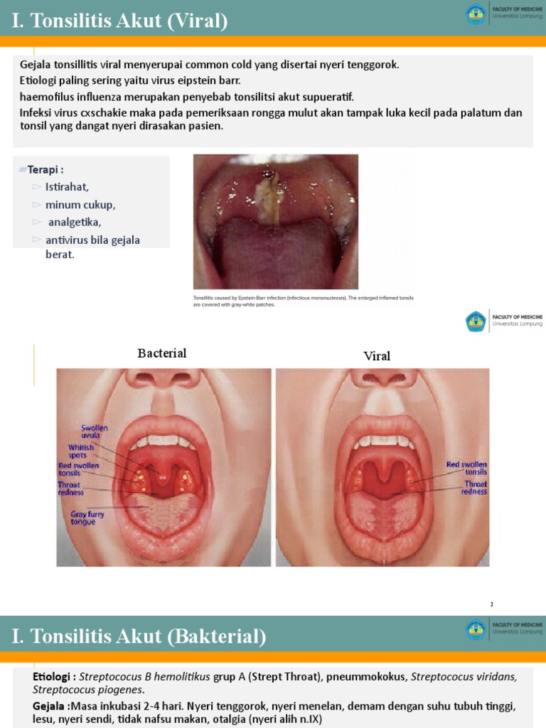 Mashhurlar qora tanlilar bilan