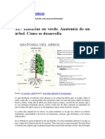 anatomía del árbol.pdf