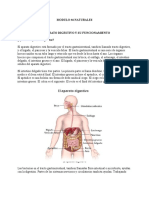 Modulo 4 Naturales