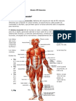 Modulo Nº6 Naturales