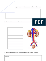 G3 CIENCIAS NATURALES 7 - 2P 2020