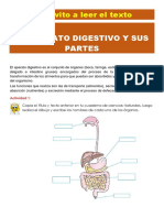 Taller - C NATURALES - 04 - 33217470 - 12.EL APARATO DIGESTIVO Y SUS PARTES