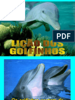 Golfinho 1