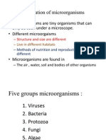 ' Microorganisms Are Tiny Organisms That Can Only Be Seen Under A Microscope. ' Different Microorgaisms