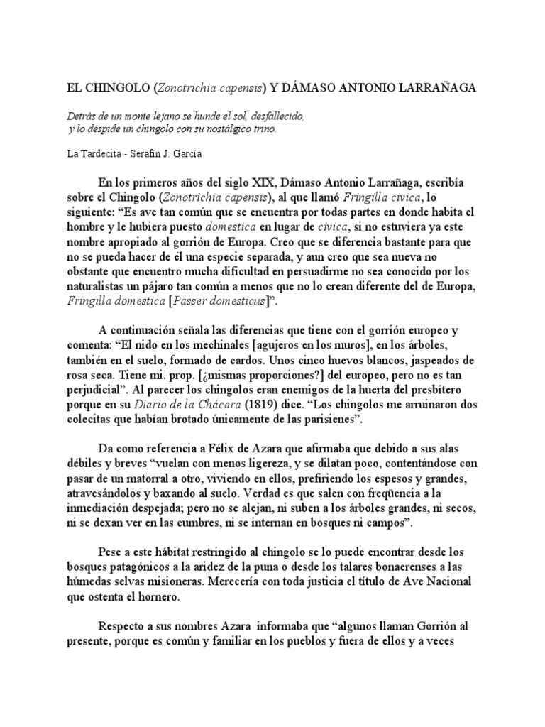 EL CHINGOLO (Zonotrichia Capensis) Y DAMASO LARRAÑAGA | PDF | Aves ...