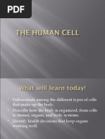 1_class_The_Human_Cell.ppt