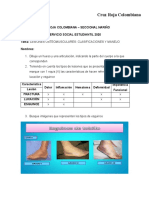 Desarrollo Guia Lesiones osteomusculares.docx