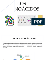 AMINOACIDOS (2)