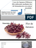 Presentation Flor de Jamaica