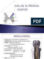 Anatomia Med Espinal 20180523063704