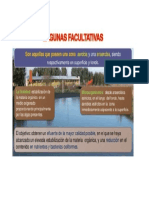 LAGUNAS FACULTATIVAS