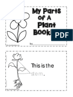 Parts of A Plant