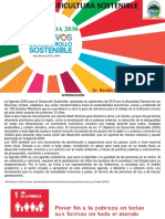 Agenda 2030 - CEPAL PDF
