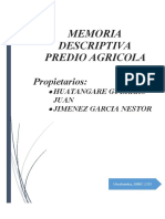 MEMORIA-DESCRIPTIVA-demetrio (1).docx