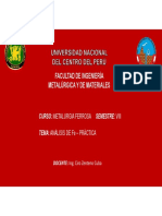 02 Análisis de Fe - Práctica (1).pdf