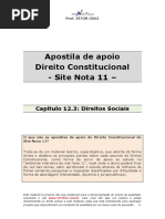 Apostila de apoio - cap. 12.3 - Direitos Sociais