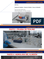 Lab N°5 Procedimiento Reconocimiento de Carbohidratos