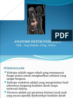 Asb - Anatomi Endokrin