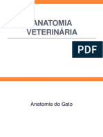 Anatomia Veterinária Parte 3 PDF