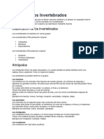 Animales inveretebrados.pdf