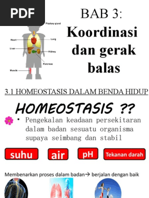 Bab 3 - Homeostasis  PDF