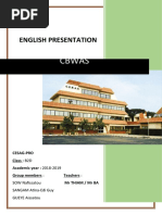 Cbwas 1