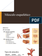 Musculo-esqueletico__61__0