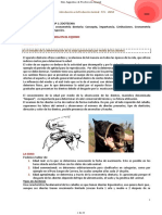 05 Crono Equino PDF