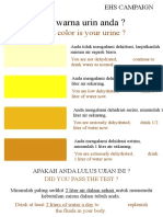 Check Urine Color for Dehydration Level