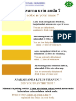 What Color Is Your Urine