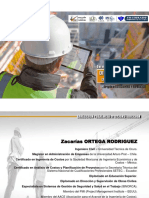 Gerencia de Proyectos PDF