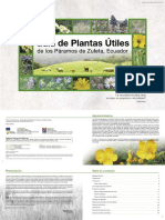 Plantas Utiles Ibarra