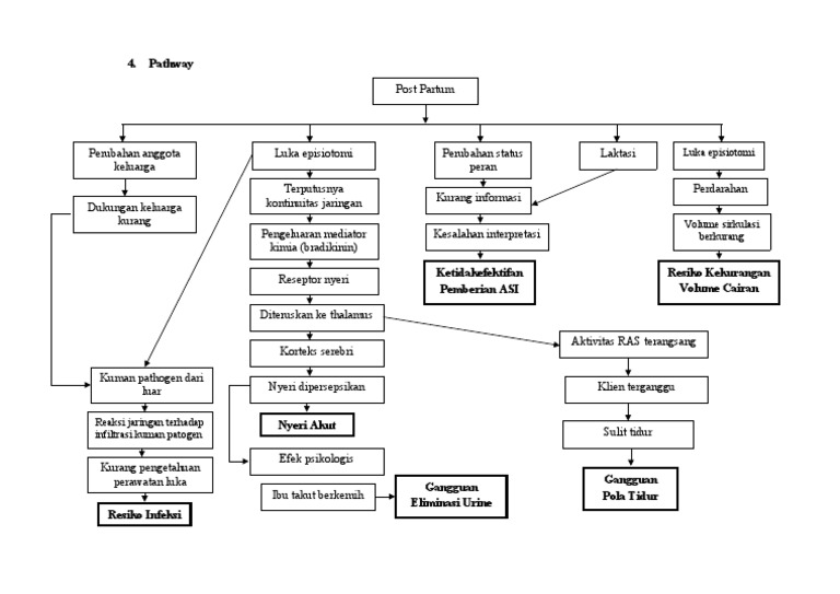 Pathway Risiko Infeksi Post Operasi | PDF
