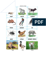 Animales en Popti y Palabra en Ingles, Español