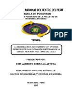 TESIS DE POSGRADO MINAS.pdf