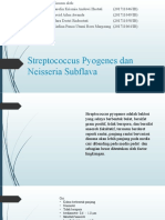 Streptococcus Pyogenes Dan Neisseria Subflava