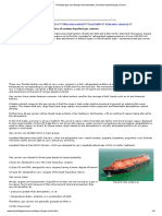 Principle Type and Design Characteristics of Modern Liquefied Gas Carriers