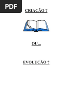 Criação vs Evolução I